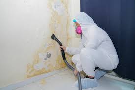 Best Biohazard Mold Removal  in Fairmount Heights, MD